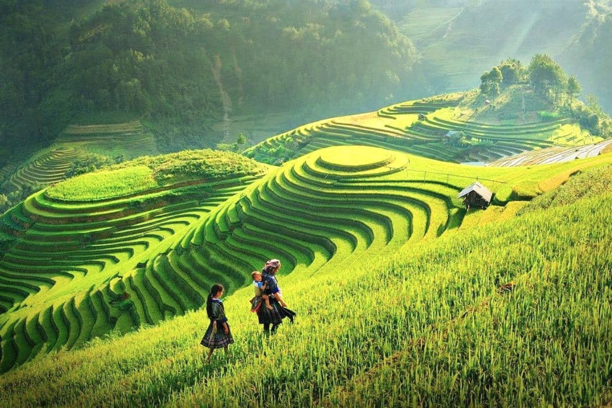 Thời tiết Sapa vào tháng 8
