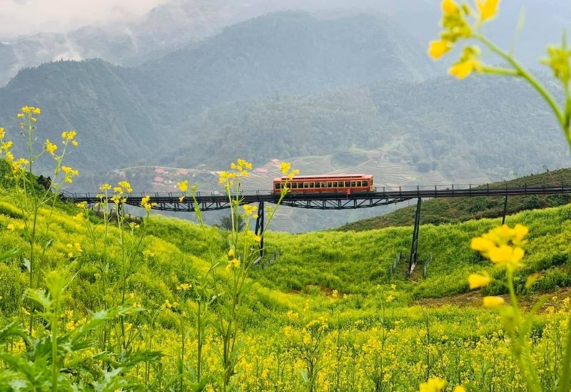 Chiêm ngưỡng vẻ đẹp thung lũng Mường Hoa mùa hoa cải