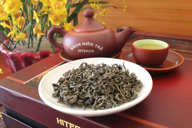 Chè Shan tuyết Tây Bắc mang hương vị đặc trưng Chè Shan tuyết Tây Bắc mang hương vị đặc trưng (Ảnh: Sưu tầm)