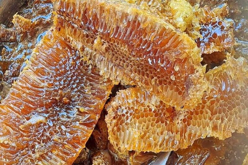 Mật ong hoa rừng Tây Bắc thơm ngọt tự nhiên Mật ong hoa rừng Tây Bắc thơm ngọt tự nhiên (Ảnh: Sưu tầm)