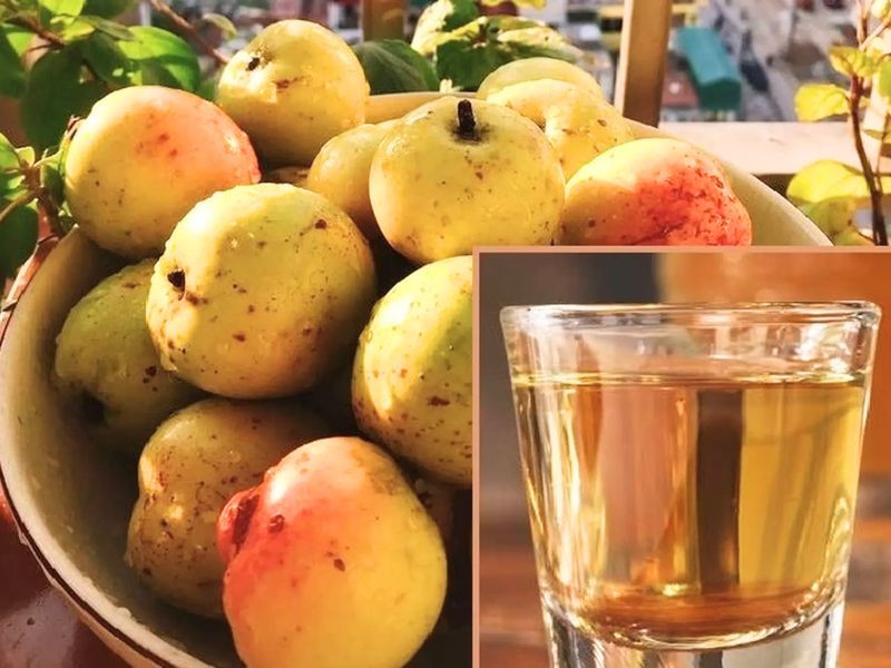 Thưởng thức rượu táo mèo Tây Bắc Thưởng thức rượu táo mèo Tây Bắc