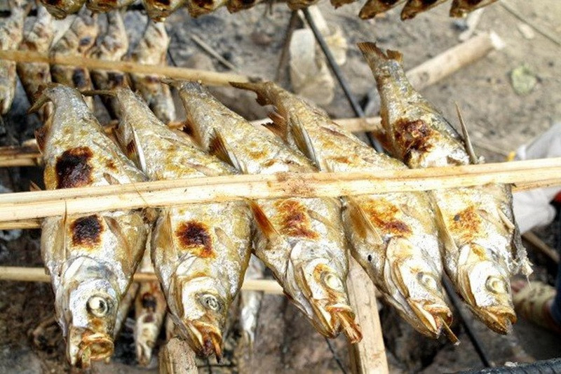 Cá suối nướng món ăn đặc sản nên thưởng thức tại Mai Châu