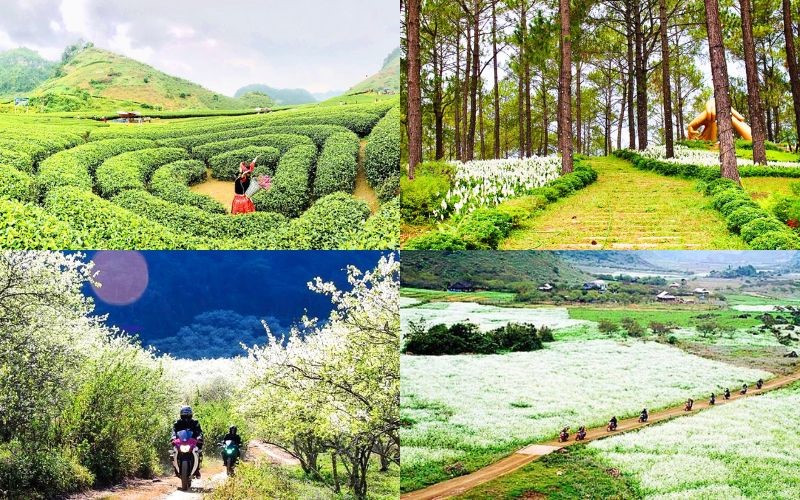 Tham quan Mộc Câu với tour du lịch Đất Việt Tour