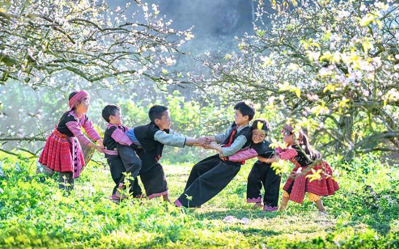 Du lịch Mộc Châu mùa hoa nở