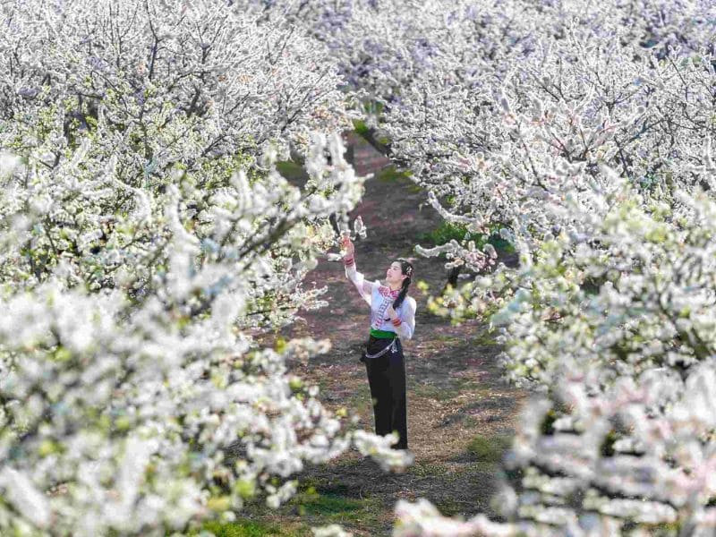 Chuẩn bị cho chuyến du lịch đầu năm suôn sẻ Chuẩn bị cho chuyến du lịch đầu năm suôn sẻ