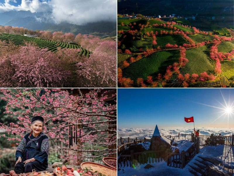 Đến Sapa dịp Tết - đi chơi đâu? Đến Sapa dịp Tết - đi chơi đâu?