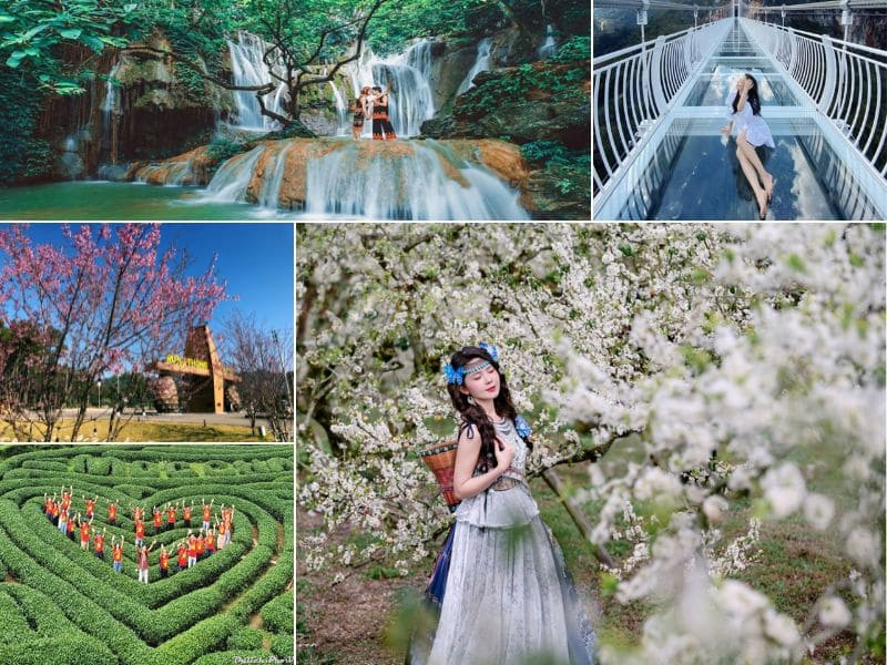 Điểm danh những tọa độ check-in hot tại Mộc Châu dịp Tết Điểm danh những tọa độ check-in hot tại Mộc Châu dịp Tết