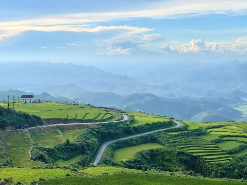 Vẻ đẹp hoang sơ và đầy cuốn hút của Đồi sim