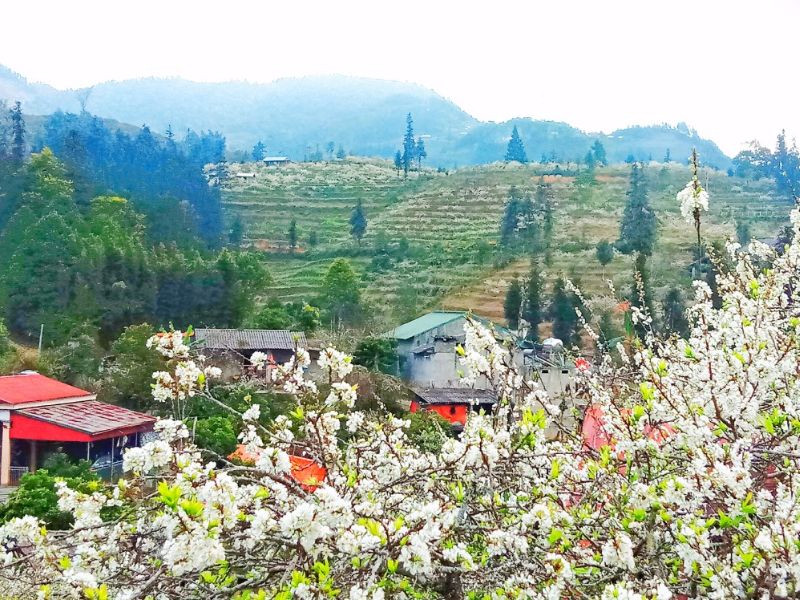 Vẻ đẹp của cao nguyên Bắc Hà 