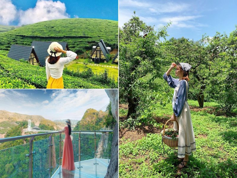 Mộc Châu thu hút với đồi chè xanh mướt Mộc Châu thu hút với đồi chè xanh mướt