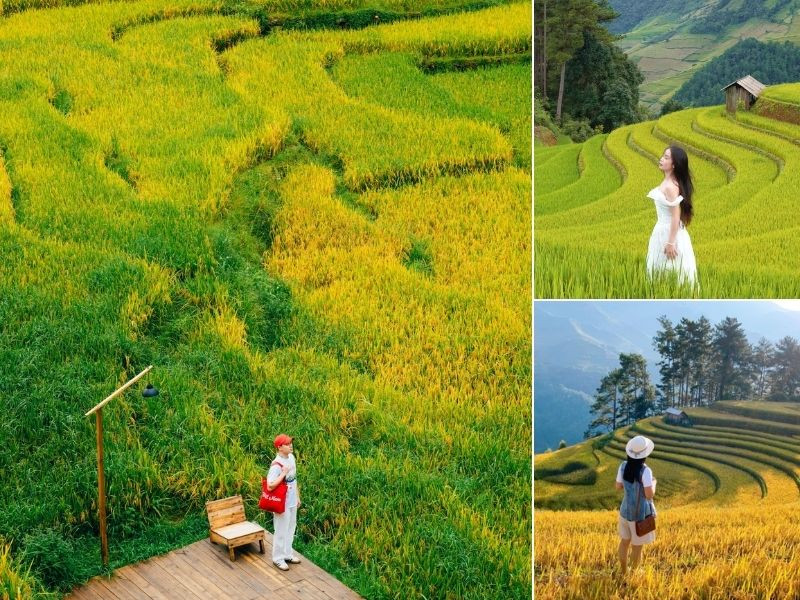 Tháng 9 Tây Bắc với mùa vàng tuyệt sắc 