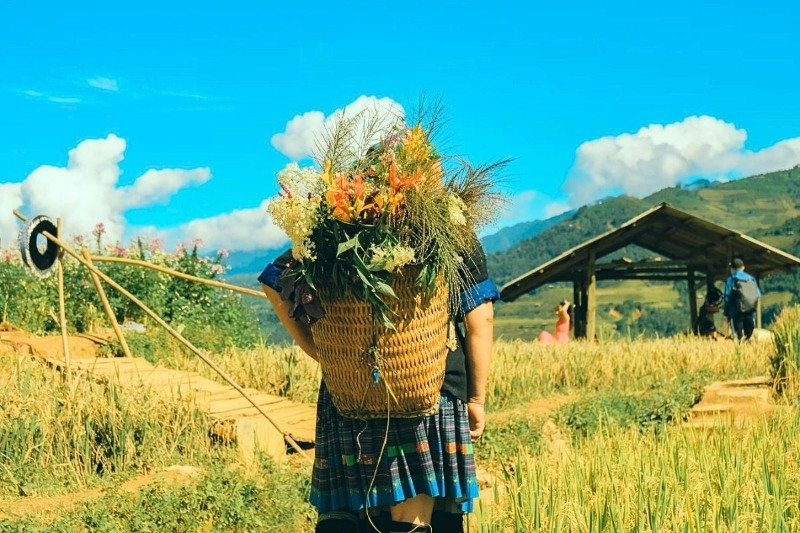 Du lịch  trong tiết trời khô lạnh sau mùa lúa chín