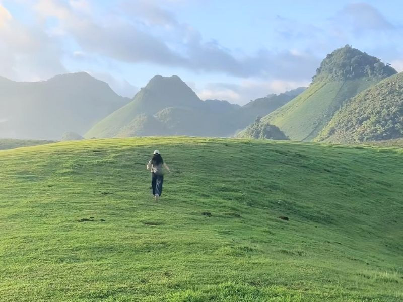 Hoà mình vào thiên nhiên tại đồi sim Suối Bon