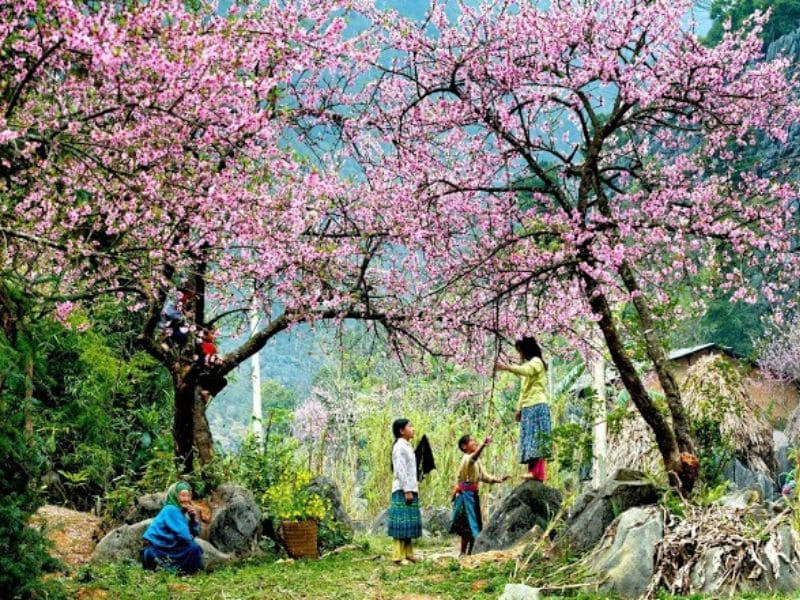 Khám phá Mộc Châu trong dáng hình tinh khôi của mùa xuân Khám phá Mộc Châu trong dáng hình tinh khôi của mùa xuân