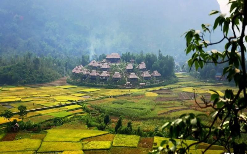 Mai Châu 