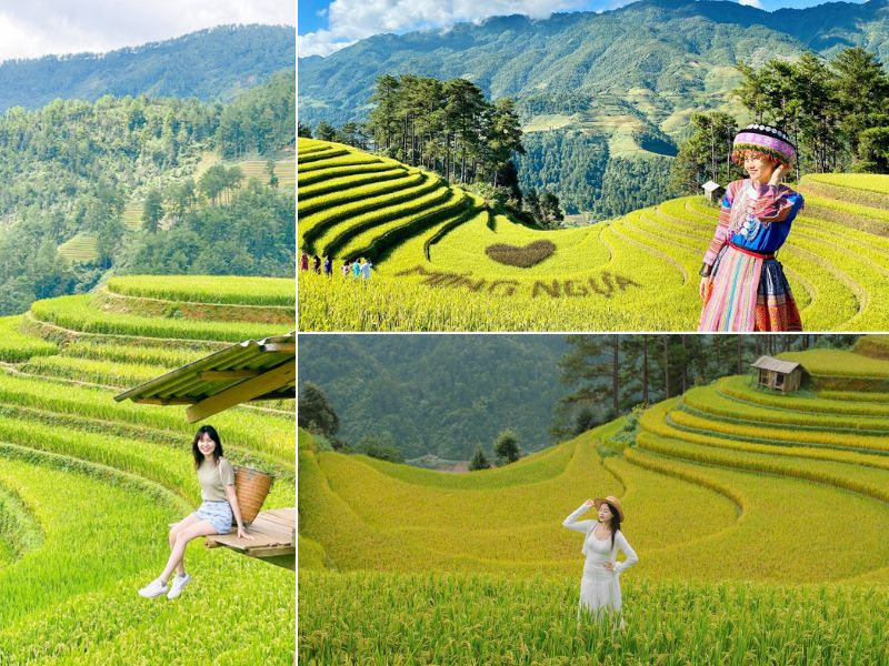 Tour Mù Cang Chải mùa lúa chín - Điểm đến không bỏ lỡ