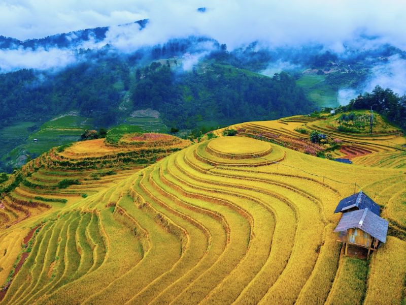 Mù Căng Chải - Thiên đường ruộng bậc thang