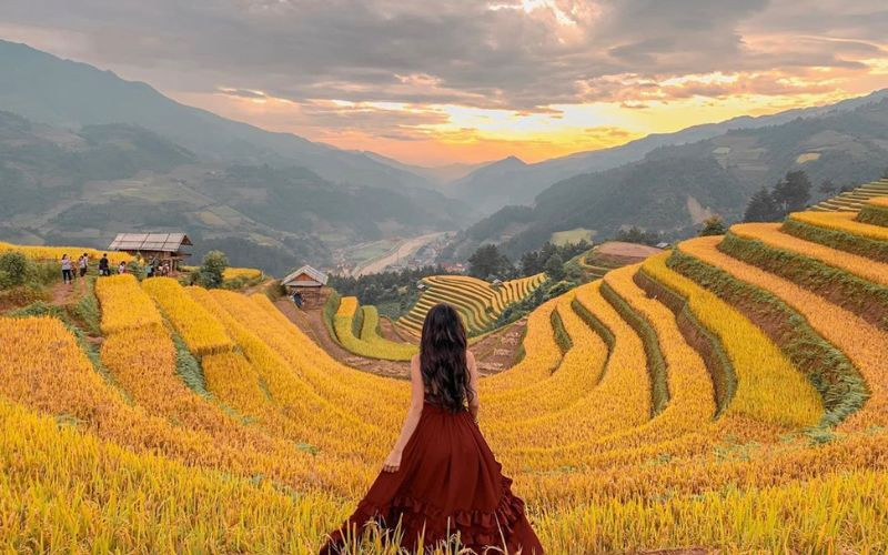Mù Cang Chải mùa lúa chín
