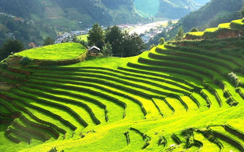 Thời tiết Tây Bắc mát mẻ 