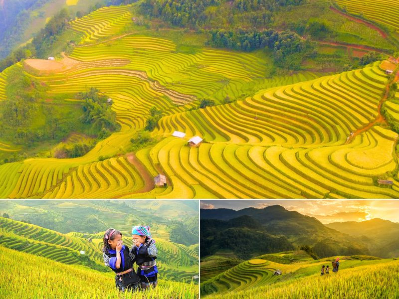 Mùa vàng Tú Lệ - Yên Bái 
