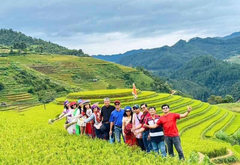 Khám phá vẻ đẹp mùa vàng Mù Cang Chải trong tour du lịch lễ 2/9 Khám phá vẻ đẹp mùa vàng Mù Cang Chải trong tour du lịch lễ 2/9