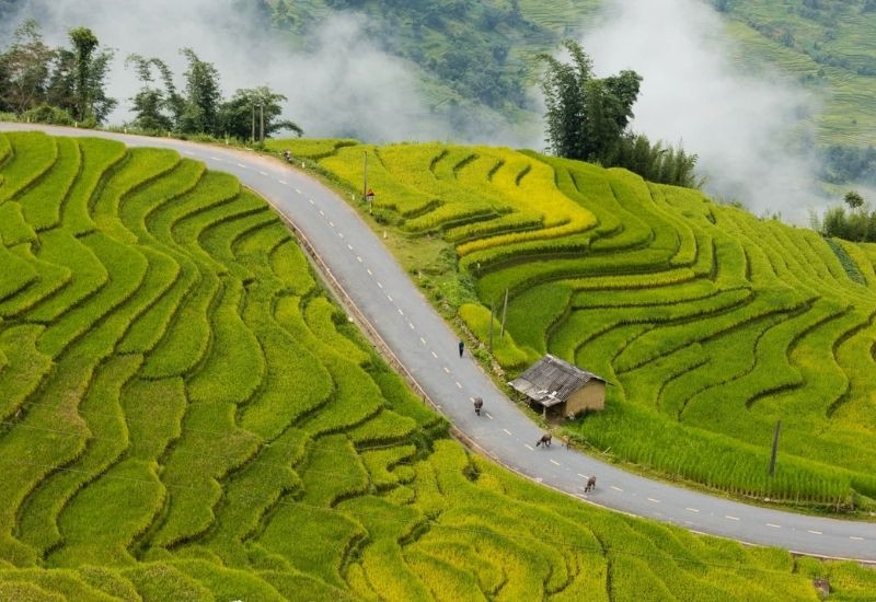 Y Tý nổi bật với biển mây và những thửa ruộng bậc thang uốn lượn