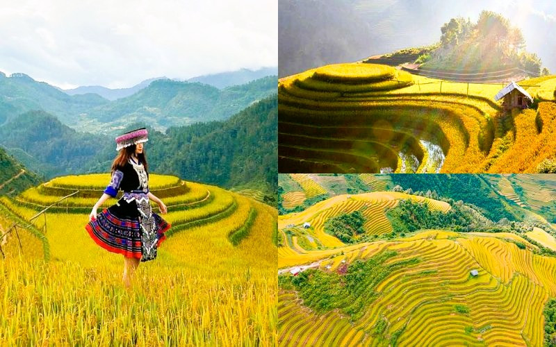 Đi tour du lịch miền bắc 5 ngày 4 đêm mùa đẹp nhất 