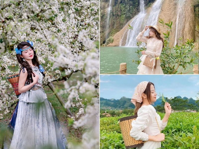 Mộc Châu - Điểm dừng chân lý tưởng cho Tour tết Miền Bắc 2026