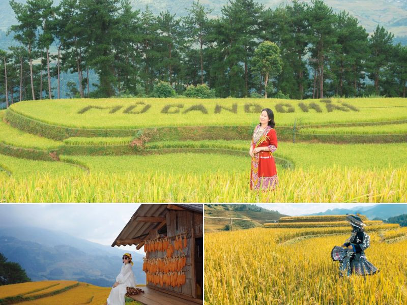 Mùa vàng Mù Cang Chải - mùa săn ảnh đẹp