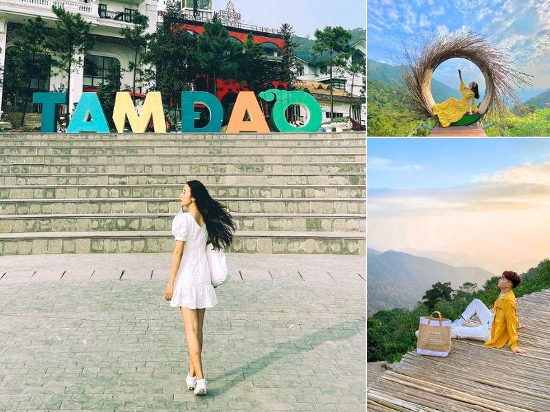 Tam Đảo mùa thu - Địa điểm du lịch miền Bắc mùa thu lý tưởng