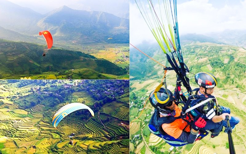 Thả mình trên không trung, chiêm ngưỡng ruộng bậc thang vàng rực 
