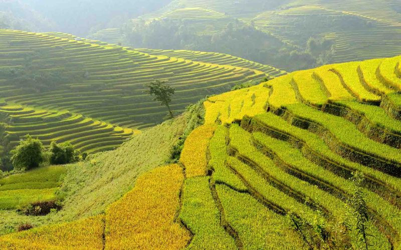 Hà Giang là một trong các điểm du lịch miền Bắc tháng 8 lý tưởng