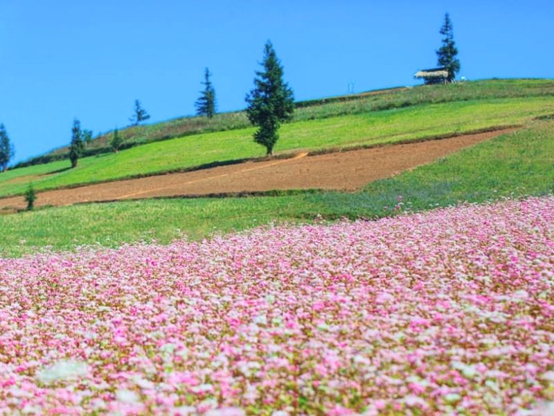 Hình ảnh Hà Giang vào mùa xuân
