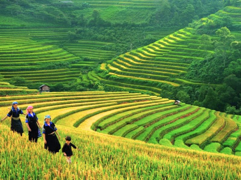 Hình ảnh Sapa vào mùa hè