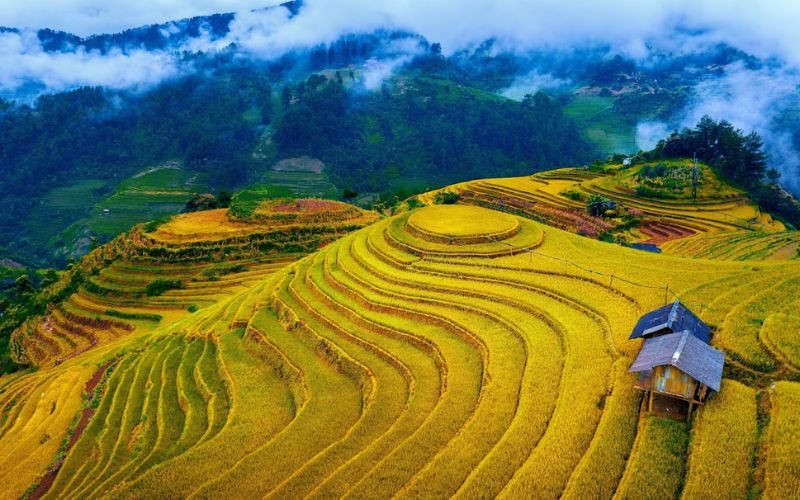 Du lịch Mù Cang Chải mùa thu 