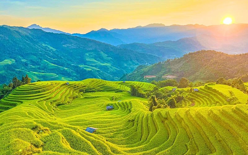 Mùa ruộng bậc thang xanh mướt, cảnh sắc sống động