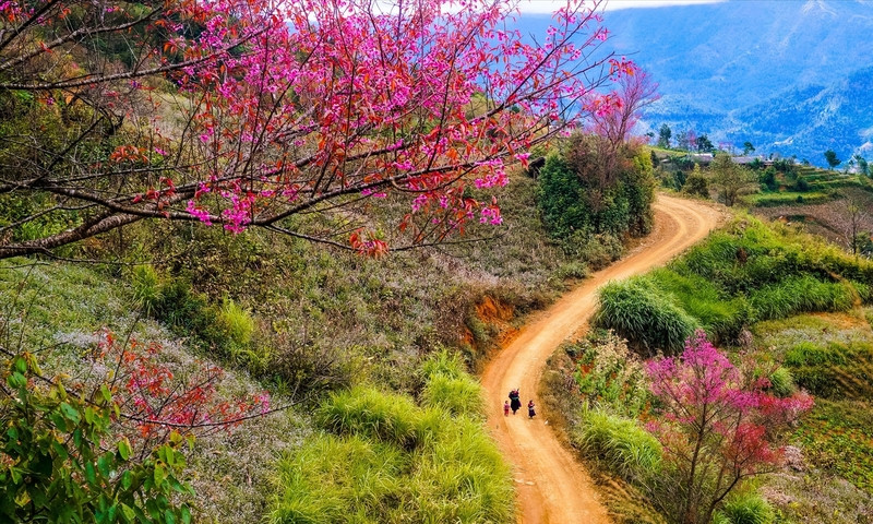 Mùa xuân thơ mộng ở miền Bắc