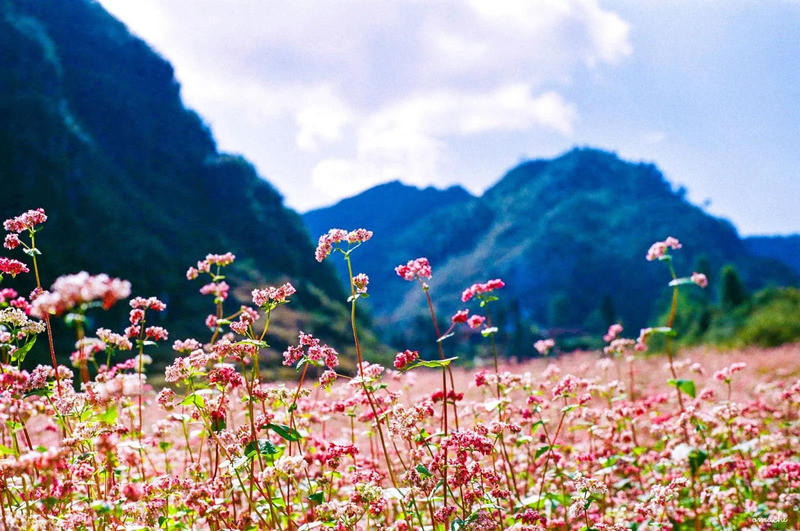 mùa thu Đông Bắc