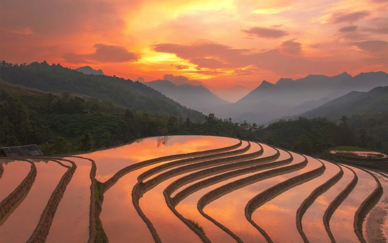 Ruộng bật thang tại SaPa