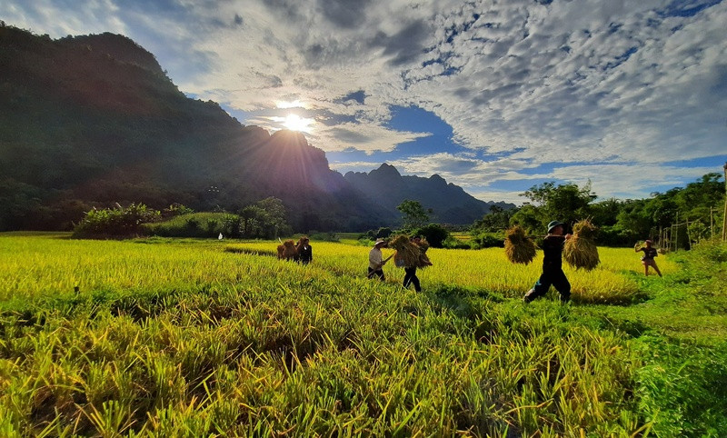 Sự bình yên của thung lũng Lâm Thượng