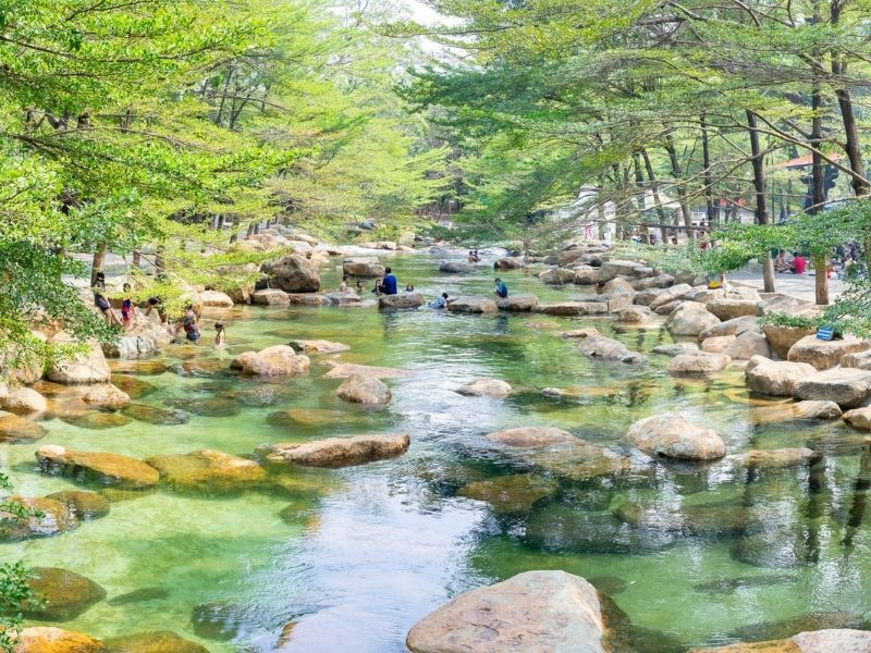 Khu du lịch Thủy Châu - không gian chill lý tưởng cuối tuần Khu du lịch Thủy Châu - không gian chill lý tưởng cuối tuần