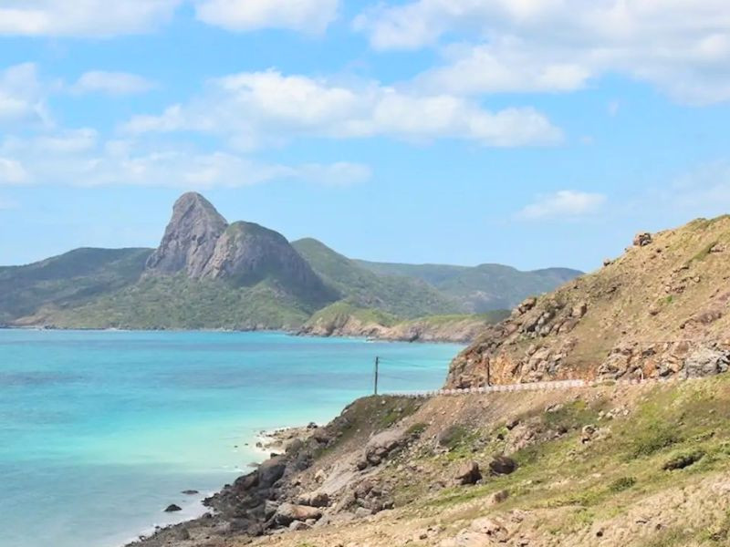 Mũi cá mập Côn Đảo