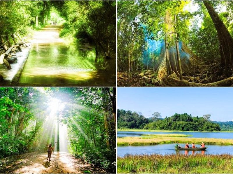 Thời tiết Nam Cát Tiên tháng 6 sẽ vào mùa mưa