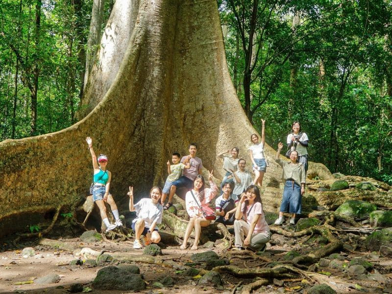 Khám phá Nam Cát Tiên Tết 2026 cùng Đất Việt Tour