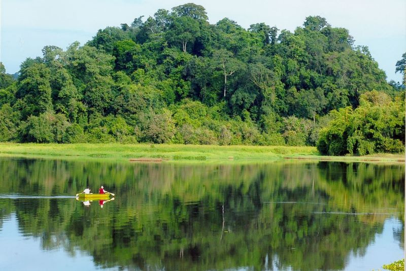 Khám phá rừng xanh Nam Cát Tiên