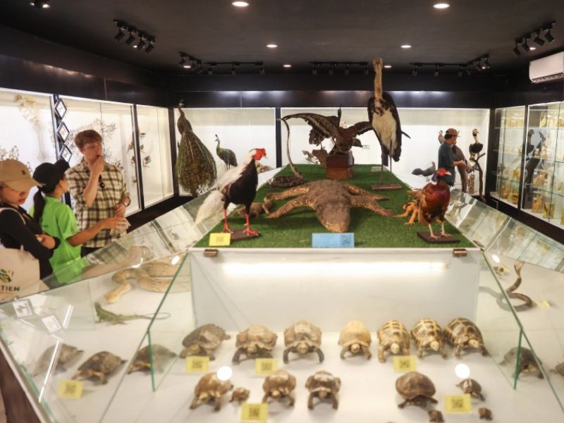 Tham quan Bảo tàng với 2.500 xác động vật trong rừng Cát Tiên 