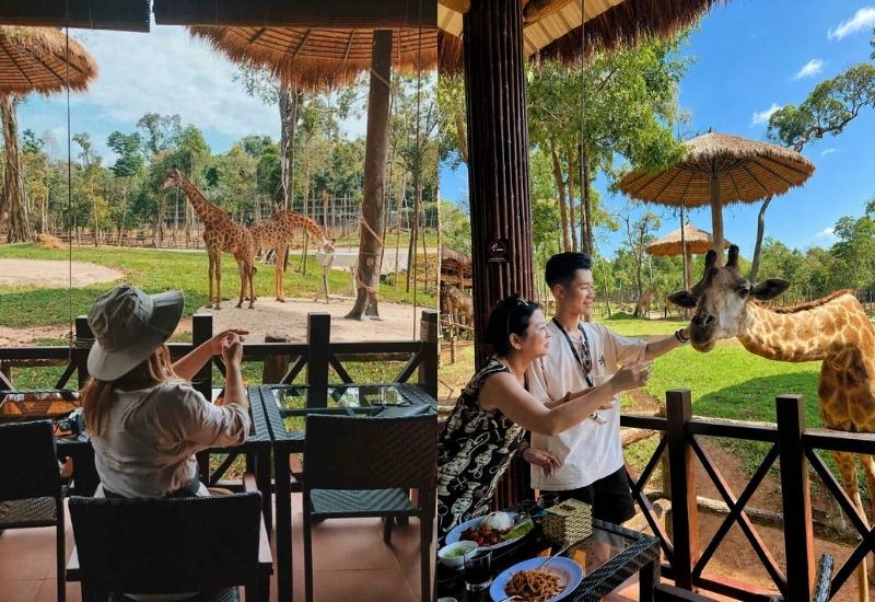Du khách có thể nghỉ ngơi và dùng bữa tại các nhà hàng trong khuôn viên (Ảnh: Sưu tầm)