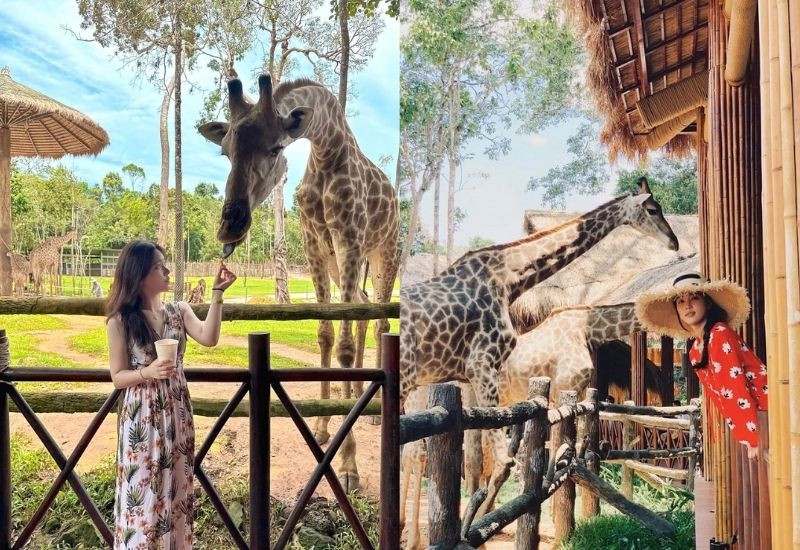 Trang phục thoải mái và lịch trình được sắp xếp hợp lý giúp thuận tiện hơn khi tham quan Vinpearl Safari Phú Quốc (Ảnh: Sưu tầm)