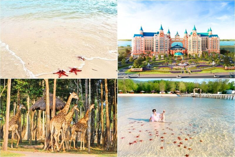Khám phá Vinpearl Safari và sao biển tại Rạch Vẹm (Ảnh: Sưu tầm)