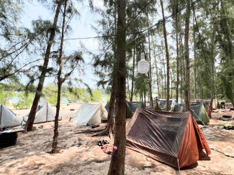 Hòa mình vào thiên nhiên tại camping Rừng và Biển